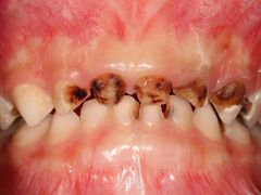 -希望齿科(河西店)