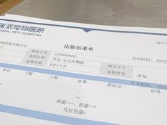 -瑞派名望24h动物医院异宠专科·猫专科·骨科·重症监护分院