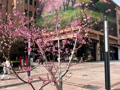 -王府井步行街