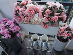-边渡咖啡烘焙店(昙华林店)