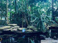 -南山植物园