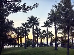 -普陀山风景区-佛顶山