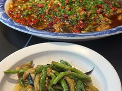 -新概念来凤鱼(璧山店)