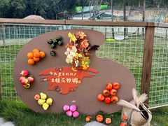 -杭州开元森泊度假乐园