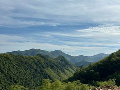 -天目山大树王景区