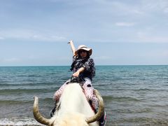 -青海湖国家重点风景名胜区