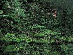 -峨眉山风景名胜区