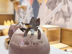 -滚猫咖啡·猫咖·猫友好撸猫(未来城店)
