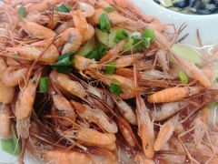 -全乐鱼馆·淳牌有机鱼直营店