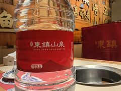 -东镇老火锅(长春路首店)