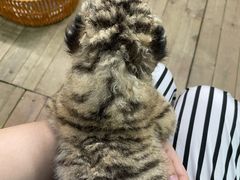 -常州淹城野生动物世界