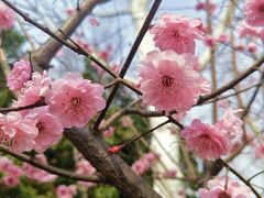 -小民大排档(马场角横路店)