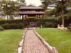 -陶缘一号·四季缘·老字号顺德菜·户外婚礼家宴(西滘店)