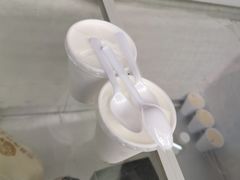 -洪馨椰子