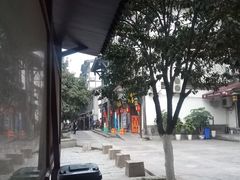 -颜氏双江清水鱼一养身火锅(磁器口店)