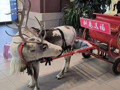 -王府井奥莱棋盘山小镇