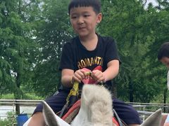 -上海海湾国家森林公园