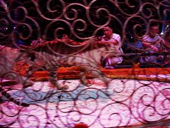 -广州长隆国际大马戏