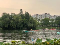 -新江湾城公园