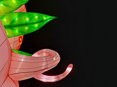 -金城公园