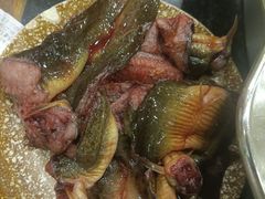 -大龙火锅(老店)