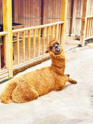 -三分地生态园·儿童乐园