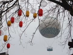 -西溪国家湿地公园