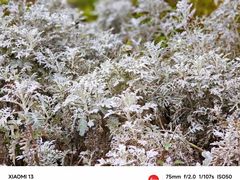 -洋湖国家湿地公园