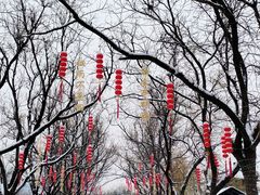 -百泉景区
