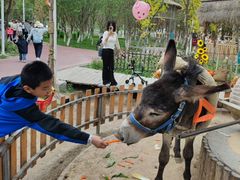 -水上乐园·欢乐世界