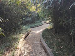-菊花台公园