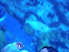 -珠海长隆海洋王国