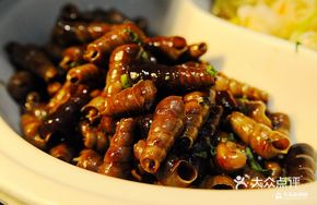 Spicy Snail