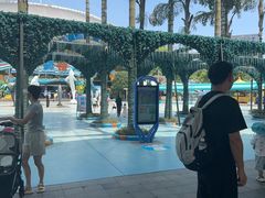 -海合安成都极地海洋公园