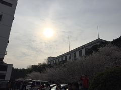 -武汉大学-樱园