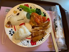 -史努比缤纷世界
