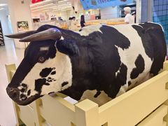 -红星前进面包牛奶公司(君太店)