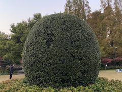 -中山公园