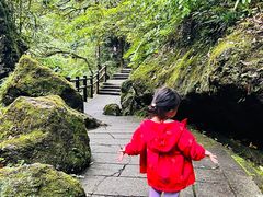 -西岭雪山大飞水景区