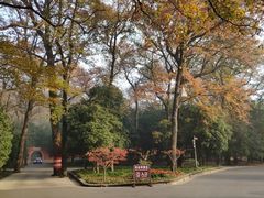 -灵谷景区