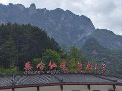 -秦岭天竺山景区