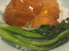 -禄興記香港大排档(歌斐中心店)