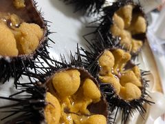 小平岛深水黑海胆-南山酒肆(南山董事绘店)