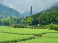 -天台山景区