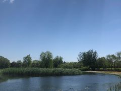 -大兴滨河森林公园