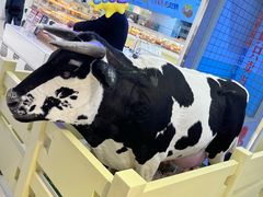 -红星前进面包牛奶公司(君太店)