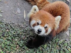 -宁波野生动物园