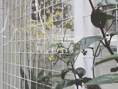 -拾壹cafe·工作室