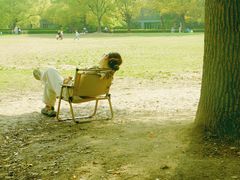 -上海共青森林公园