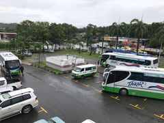 旅游巴士-伍月花酒楼